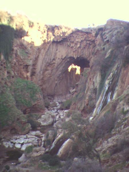 imi nifri de demnate