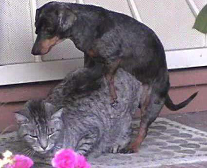 c'est ca la vieeeeeeeeeee