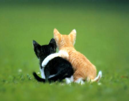 a fin a sahbna wach hanya 3andak