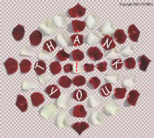 thank you said bo9aro