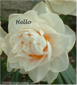 bienvenu chez bo9aro