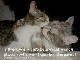 i think we .....please write me if....